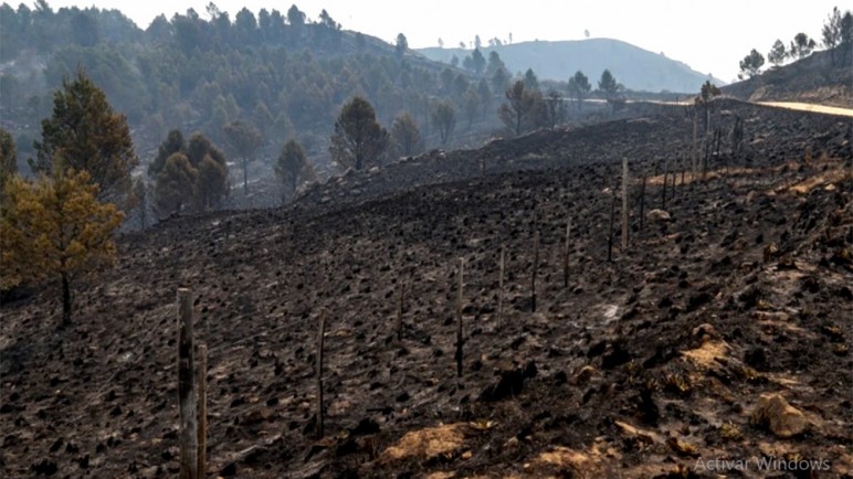 Gracias a las lluvias, se extinguieron todos los focos de incendio en Córdoba